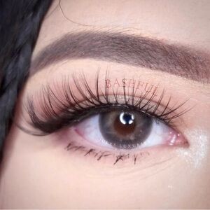 Bashful Lashes